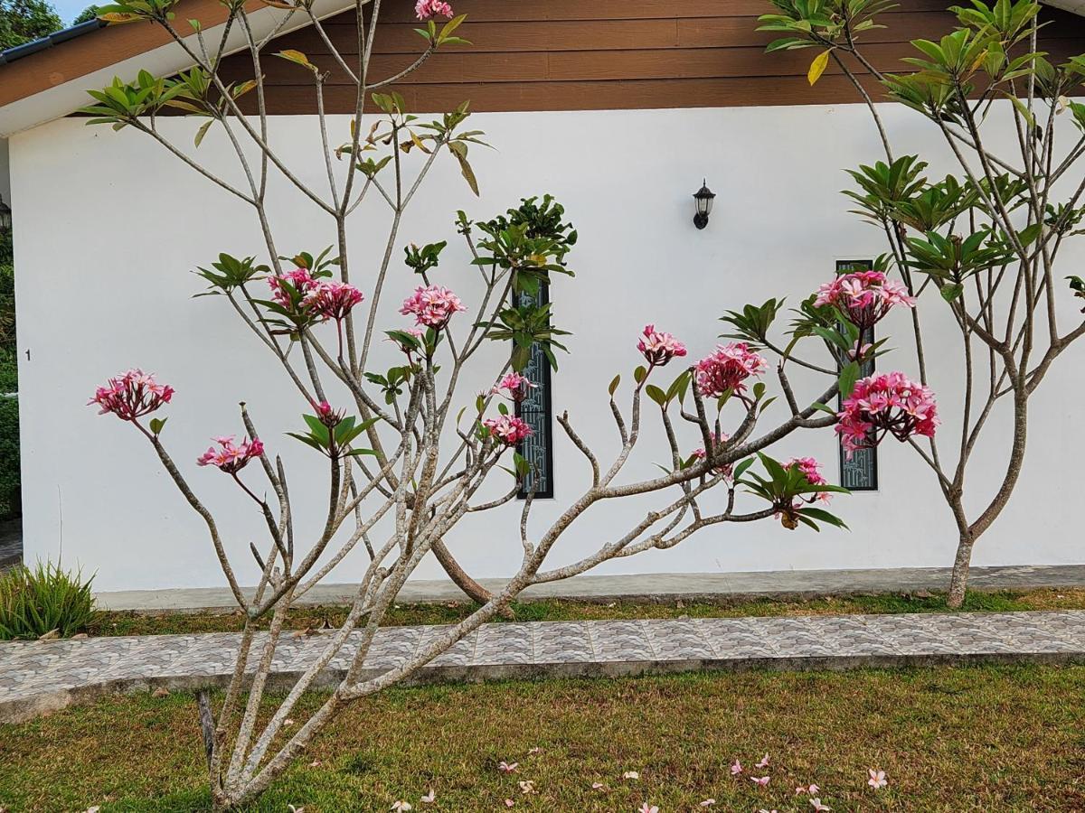 Ferienwohnung Halcyon Days @ Langkawi Pantai Cenang  Exterior foto